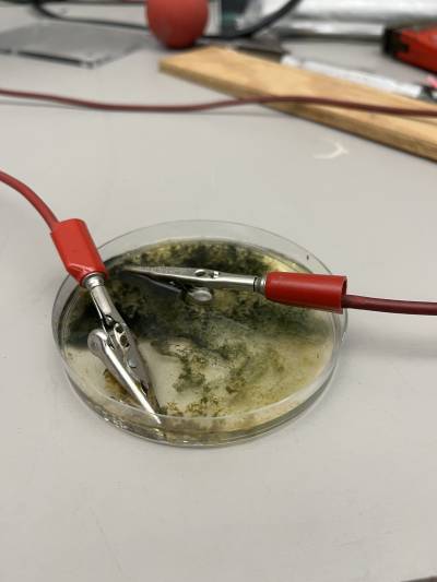 electroplating.jpeg